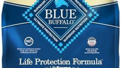 Blue Buffalo Senior Dog Food: A Natural Choice for Health