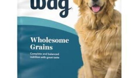 Senior Dog Food Review: Does Amazon’s Wag Salmon & Brown Rice Deliver Quality?