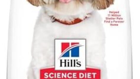 Revitalizing Senior Dog Food: A Comprehensive Review of Hill’s Science Diet 7+