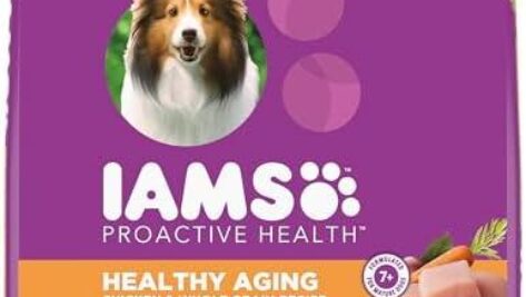 Top 5 Senior Dog Foods for Healthy Aging: Nutrition for Your Furry Friend