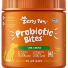 Zesty Paws Probiotics for Dogs: A Chewable Solution for Happy, Healthy Tummies