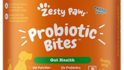 Zesty Paws Probiotics for Dogs: A Chewable Solution for Happy, Healthy Tummies