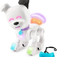 Exploring Fun and Play with Dog-E Interactive Robot Dog: A Review