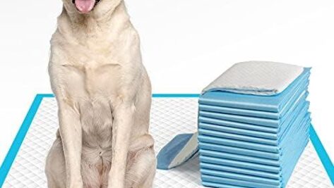 Reviewing IMMCUTE Dog Pee Pads Extra Large: The Ultimate Solution for Pet Owners