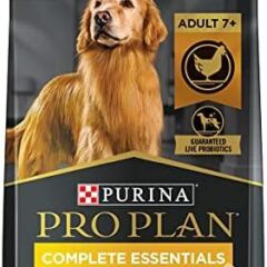 Top Senior Dry Dog Foods for Healthy Aging: ORIJEN, Purina & Blue Buffalo