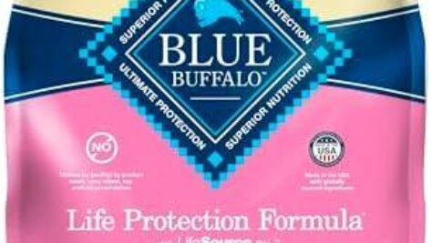 Fueling Their Energy: A Review of Blue Buffalo Life Protection Formula for Small Breeds