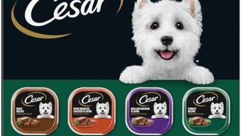 Unleashing Flavor: A Review of CESAR Adult Wet Dog Food Classic Loaf Variety Pack