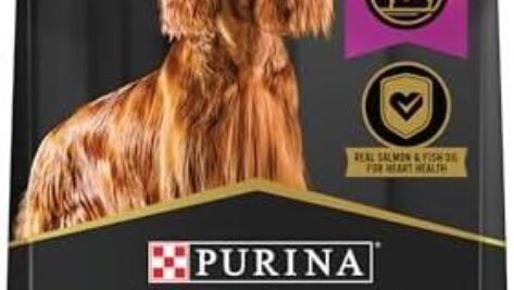 Reviewing Purina Pro Plan Sensitive Skin and Stomach Dog Food: A Balanced Choice