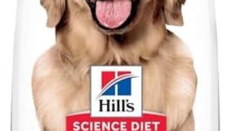 Top Hill’s Science Diet Perfect Weight Options for Healthy Dog Weight Management