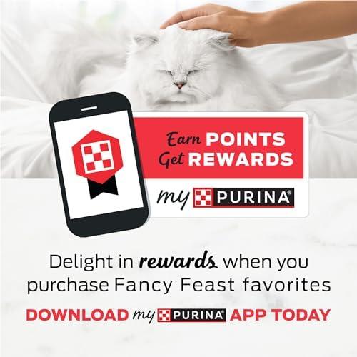 Reviewing ⁣Purina fancy Feast Dry Cat Food Filet ​Mignon Flavor ⁤with Shrimp