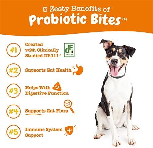 Zesty Paws Probiotics for Dogs: A Chewable Solution for Happy, Healthy Tummies