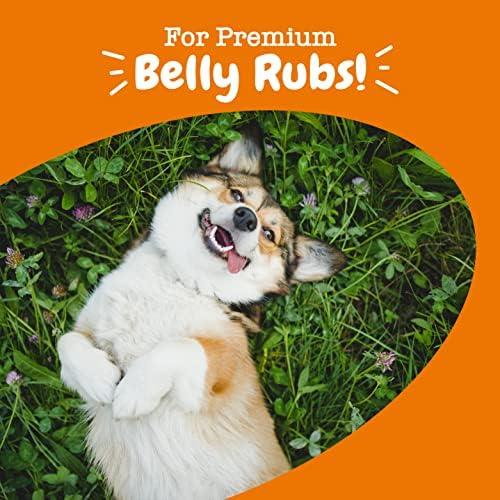 zesty Paws Probiotics for dogs: A Chewable Solution for Happy, Healthy Tummies