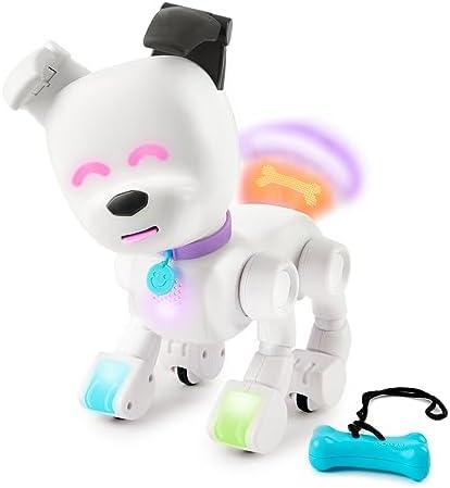 Exploring Fun and Play with Dog-E Interactive Robot Dog: A Review